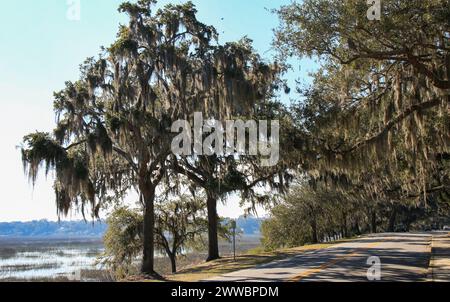 Affacciato su Bay Street, Beaufort, South Carolina, con acqua da un lato e muschio spagnolo dagli alberi dall'altro. Foto Stock