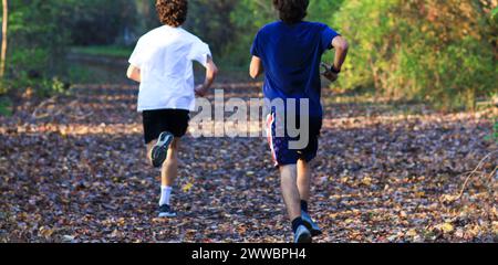 Vista posteriore di due ragazzi delle scuole superiori che si allenano per la corsa di crosc country in un parco su un sentiero pieno di foglie a ottobre. Foto Stock