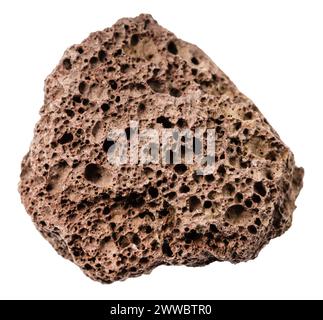 primo piano di un campione di pietra naturale proveniente dalla raccolta geologica - pomice marrone grezza isolata su sfondo bianco Foto Stock