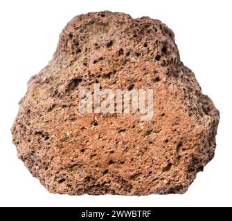 primo piano di un campione di pietra naturale proveniente dalla collezione geologica - pietra lavica marrone non lucidata isolata su sfondo bianco Foto Stock