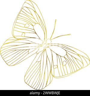 Illustrazione della linea Gold Butterfly. Illustrazione grafica a lamina dorata a farfalla. Farfalla di insetto per adesivi, tatuaggi, silhouette, album. Alato Illustrazione Vettoriale