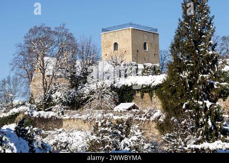 Conserva, resti del vecchio castello, Eggenburg, bassa Austria, Austria Foto Stock