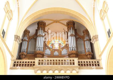 Organ Loft, Old Organ, Herz Jesu Church a Wels Neustadt, alta Austria, Austria Foto Stock