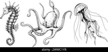 Set vettoriale con animali marini. Schizzo disegnato a mano di cavalluccio marino, meduse e Octopus. Illustrazione con vita marina subacquea dipinta da inchiostri neri in stile line art. Incisione di medusa per icona o logo. Illustrazione Vettoriale