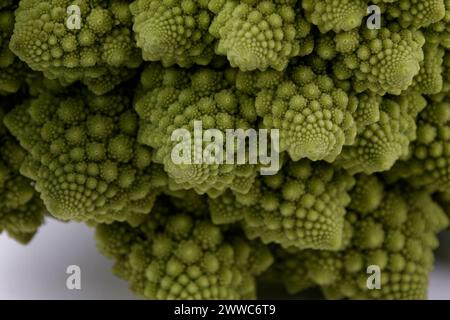 Macro di un esempio biologico di spirali e frattali di Fibonacci in natura utilizzando un cavolfiore Romanesco Foto Stock