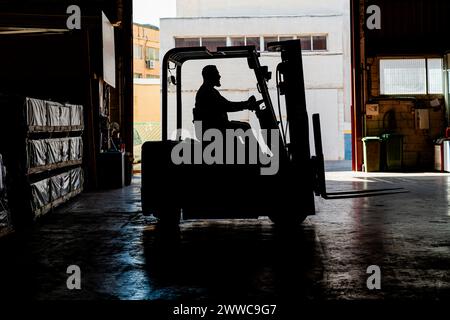 Lavoratore maturo che guida un carrello elevatore a forche in fabbrica Foto Stock