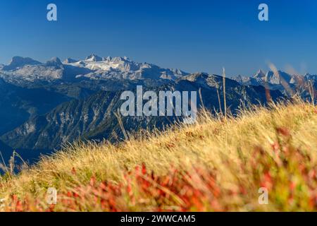 Austria, Stiria, Vista dalla montagna perdente verso la catena del Dachstein Foto Stock
