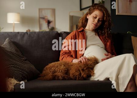 Giovane donna incinta che accarezza il cane seduto sul divano Foto Stock