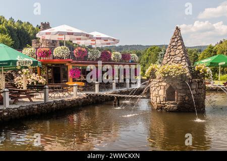 KAMIENCZYK, POLONIA - 18 AGOSTO 2022: Vista di un vivaio di pesci e ristorante nel villaggio di Kamienczyk, Polonia Foto Stock