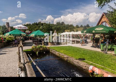 KAMIENCZYK, POLONIA - 18 AGOSTO 2022: Vista di un vivaio di pesci e ristorante nel villaggio di Kamienczyk, Polonia Foto Stock