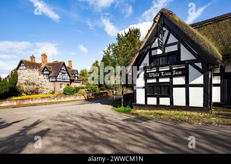 Il White Lion del 1700, bianco e nero, con tetti in paglia e tetto in legno, nel villaggio Cheshire di Barthomley Foto Stock