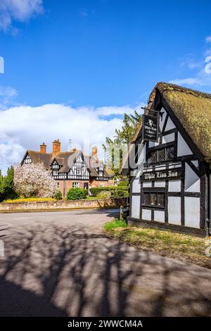 Il White Lion del 1700, bianco e nero, con tetti in paglia e tetto in legno, nel villaggio Cheshire di Barthomley Foto Stock