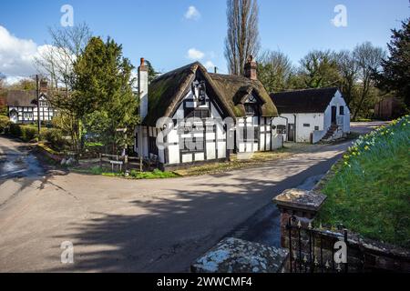 Il White Lion del 1700, bianco e nero, con tetti in paglia e tetto in legno, nel villaggio Cheshire di Barthomley Foto Stock