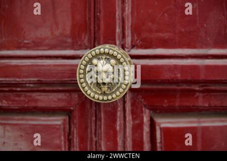 maniglia ad anello in rame su una porta antica a forma di testa di leone. Impugnatura in metallo brillante. Foto Stock