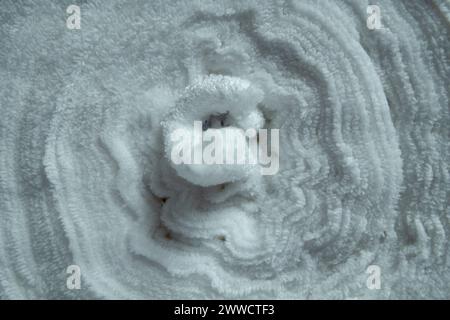 rotolo di tessuto colorato con fondo bianco isolato. gonne da donna di vari colori Foto Stock