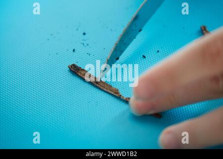 Fagiolo di vaniglia bianco raschiato a mano con coltello Foto Stock