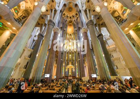 Hauptschiff, Deckengewölbe, Säulen, Sagrada Familia, Basilica von Antoni Gaudi, Barcellona, Katalonien, spagnolo Foto Stock