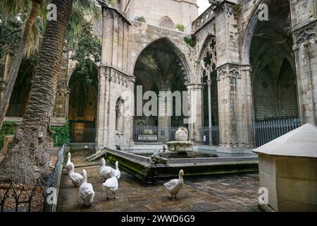 Kreuzgang mit Garten, Gänse im Innenhof, Kathedrale, Catedral de la Santa Creu i Santa Eulalia, Barcellona, Katalonien, Spanien *** Chiostro con giardino, oche nel cortile, Cattedrale, Catedral de la Santa Creu i Santa Eulalia, Barcellona, Catalogna, Spagna Foto Stock