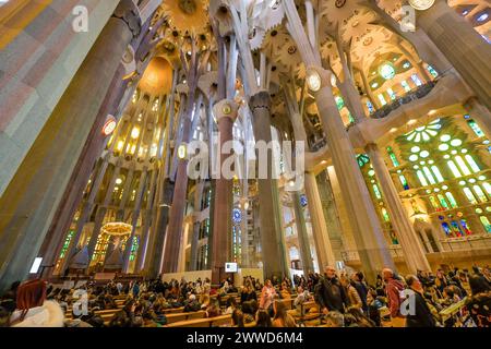 Hauptschiff, Deckengewölbe, Säulen, Sagrada Familia, Basilica von Antoni Gaudi, Barcellona, Katalonien, spagnolo *** nave, soffitto a volta, colonne, Sagrada Familia, Basilica di Antoni Gaudi, Barcellona, Catalogna, Spagna Foto Stock