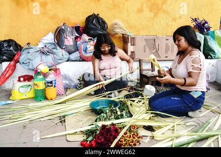 Antigua, Guatemala. 23 marzo 2024. Le famiglie indigene Maya realizzano mazzi di palme per la domenica delle Palme mentre i devoti si allineano per pregare alla vigilia per Gesù al Santuario San Felipe de Jesús, 23 marzo 2024 ad Antigua, Guatemala. Le sontuose processioni, le dettagliate alfombre e le tradizioni secolari attraggono oltre 1 milione di persone nell'antica capitale. Crediti: Richard Ellis/Richard Ellis/Alamy Live News Foto Stock