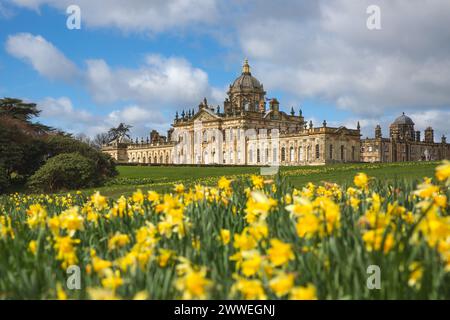 CASTLE HOWARD, YORK, REGNO UNITO - 23 MARZO 2024. Un panorama paesaggistico della residenza signorile Castle Howard sulle colline Howardiane con un letto di narcisi Foto Stock