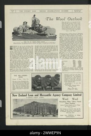 Fotografia di pecore preparate per il concorso di Harbour Bridge a Sydney, nuovo Galles del Sud, Australia, il 23 marzo 1932, tra cui la mostra di pecore e bestiame Wilandra Stud della New Zealand Loan and Mercantile Agency Company. Foto Stock