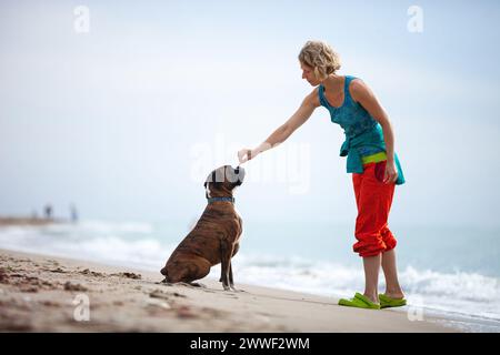 Giovane donna che dà un comando a un cane pugile. Il cane che la ascolta e obbedisce. Foto Stock