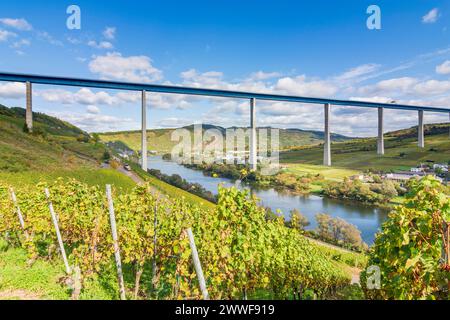 Ponte sulla Mosella alta di Hochmoselbrücke, fiume Mosella Mosella, vigneto Zeltingen-Rachtig Mosella Rheinland-Pfalz, Renania-Palat Germania Foto Stock