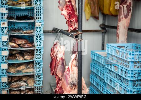 cella frigorifera refrigerata con diverse scatole di carne e manzo appese ai ganci. L'ambiente freddo e ordinato evidenzia l'efficacia di Foto Stock