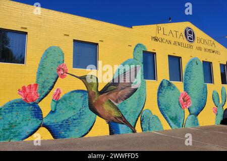 Colorate pareti artistiche sull'edificio Plata Bonita Mexican Jewellery and Homewares, North Fremantle, Perth, Australia Occidentale Foto Stock