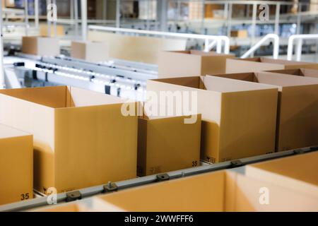 Cartoni per la spedizione su un nastro trasportatore in un centro logistico, Colonia, Renania settentrionale-Vestfalia, Germania Foto Stock