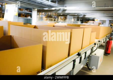 Cartoni per la spedizione su un nastro trasportatore in un centro logistico, Colonia, Renania settentrionale-Vestfalia, Germania Foto Stock