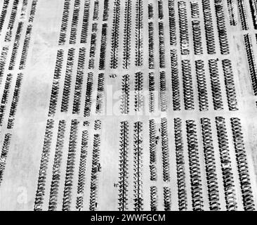 Quinton, Oklahoma, 25 maggio 1946 questa è una vista aerea di una piccola parte delle migliaia di aerei della Marina in eccedenza schierati presso la Naval Air Station di Clinton, in Florida., le cui parti vengono ora reimmesse in canali commerciali per diventare telai di finestre, spogliamento di linoleum, infissi e leghe ornamentali per l'industria siderurgica o chimica mediante un programma di smaltimento dei rottami di alluminio di aeromobili in eccedenza istituito dal dipartimento della marina militare. Foto Stock