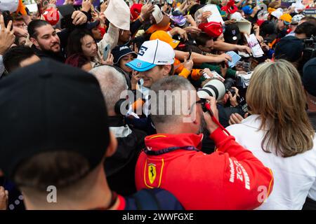 Albert Park, Australia, 24 marzo 2024. Stati Uniti Logan Sargeant alla guida della United Kingdom Williams Racing durante il Gran Premio d'Australia di F1 Rolex al Melbourne Grand Prix Circuit il 24 marzo 2024 ad Albert Park, Australia. Crediti: Dave Hewison/Speed Media/Alamy Live News Foto Stock