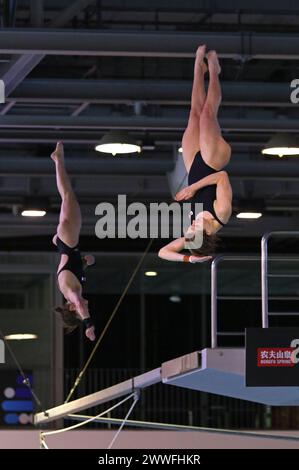 Berlino, Germania - 23 marzo 2024: Kate MILLER e Caeli McKay del Canada si esibiscono durante la Women's Synchronized 10m Platform Final della World Aquatics Diving World Cup 2024 a Berlino, Germania Foto Stock