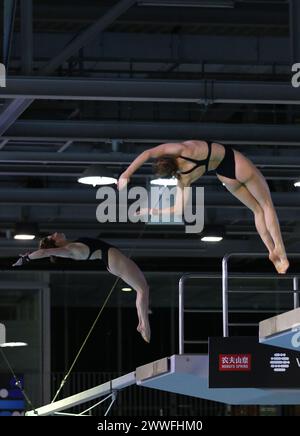 Berlino, Germania - 23 marzo 2024: Kate MILLER e Caeli McKay del Canada si esibiscono durante la Women's Synchronized 10m Platform Final della World Aquatics Diving World Cup 2024 a Berlino, Germania Foto Stock