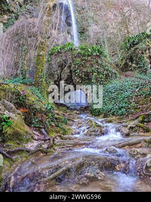 Una serena cascata scende da una scogliera rocciosa, lussureggiante vegetazione , alimentata da un vivace ruscello che si fa strada attraverso il paesaggio. Roots e r Foto Stock