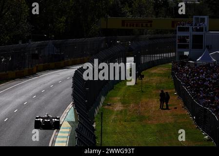 Melbourne, Australia. 24 marzo 2024. Carlos Sainz Jr (ESP) Ferrari SF-24. Campionato del mondo di Formula 1, Rd 3, Gran Premio d'Australia, domenica 24 marzo 2024. Albert Park, Melbourne, Australia. Crediti: James Moy/Alamy Live News Foto Stock