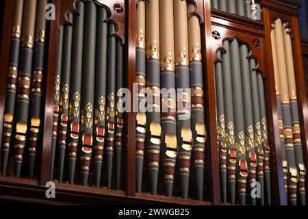 Canne d'organo a St Peters Church, Willis Street, Wellington, North Island, nuova Zelanda Foto Stock