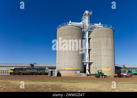 Watco Train WRA005, che scarica il grano di grado H2 dai silos presso il GrainCorp Roma West Depot Roma Queensland Australia Foto Stock