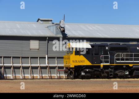 Watco Train WRA005, che scarica grano di grado H2 dai silos presso Grain Corp Roma West Depot Roma Queensland Australia Foto Stock