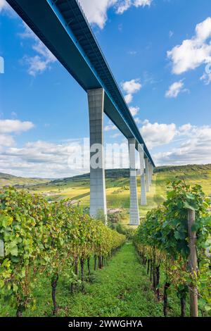 Zeltingen-Rachtig: Hochmoselbrücke (ponte sulla Mosella), fiume Mosella (Mosella), vigneto a Mosella, Renania-Palatinato, Germania Foto Stock