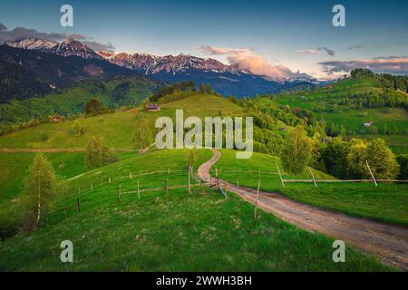 Spettacolare strada rurale curva sulle colline e maestose alte montagne sullo sfondo al tramonto, montagne Bucegi, Carpazi, Romania, Europa Foto Stock