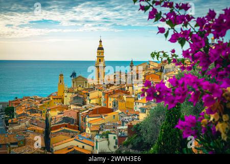 Splendida vista sulla città con la città vecchia e i bellissimi fiori mediterranei, Mentone, Provenza Alpi Costa Azzurra, Francia, Europa Foto Stock