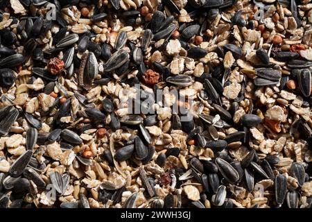 Primo piano della miscela di semi di uccelli, compresi semi oleosi come semi di girasole non pelati e avena Foto Stock