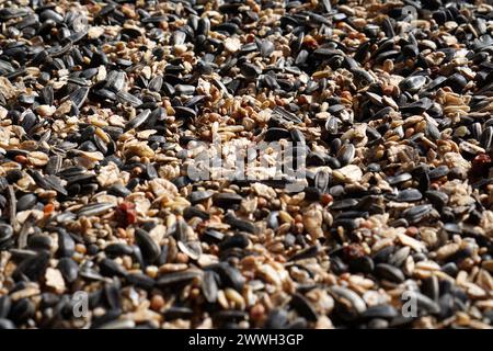 Primo piano della miscela di semi di uccelli, compresi semi oleosi come semi di girasole non pelati e avena Foto Stock