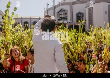 I devoti cattolici ondeggiano i loro rami di palma per ricevere la benedizione dell'acqua dopo la messa della domenica delle Palme a Antipolo City, Filippine, il 24 marzo 2024. La domenica delle Palme è una tradizione cattolica che significa l'ingresso trionfale di Gesù a Gerusalemme, salutato con rami di palma riconosciuti come vittoria e trionfo su numerose culture. La domenica delle Palme segna l'inizio della settimana Santa, la settimana più sacra del calendario cristiano. Credito: SOPA Images Limited/Alamy Live News Foto Stock