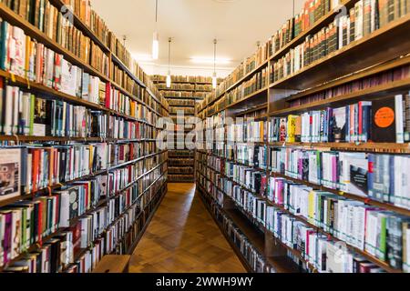 Scaffali con vecchi libri, biblioteca della Allgemeine Lesegesellschaft Basilea, Basilea, Svizzera Foto Stock