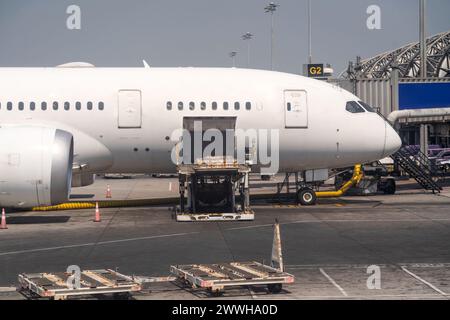 Piattaforma di carico delle merci per via aerea all'aeromobile prima del volo. Foto Stock