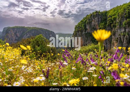 Vikos Gorge nelle montagne di Pindo, Grecia Foto Stock